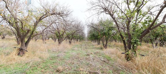 6016m² Land in Mineo, Italy No. 230286 7