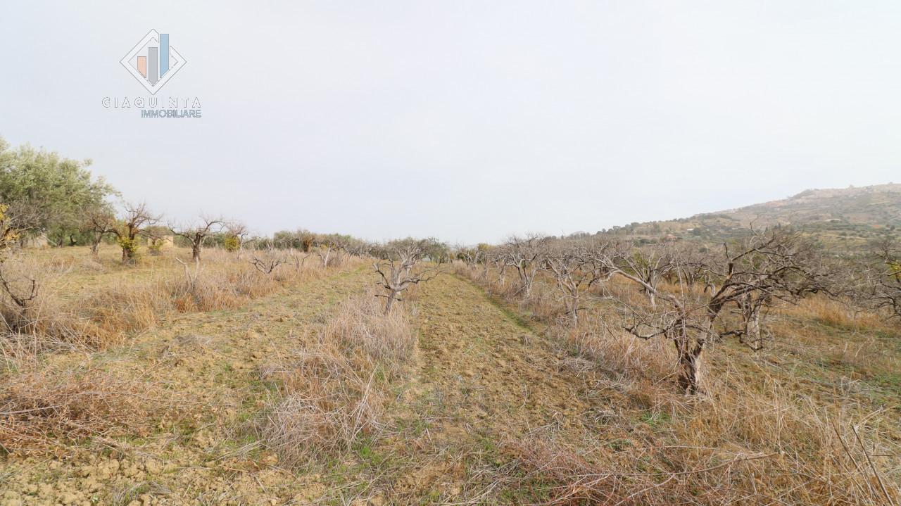 6016m² Land in Mineo, Italy No. 230286