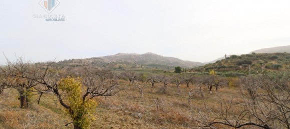 6016m² Land in Mineo, Italy No. 230286 3