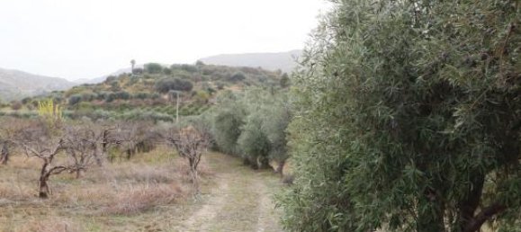 6016m² Land in Mineo, Italy No. 230286 11
