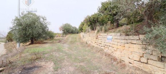 6016m² Land in Mineo, Italy No. 230286 9