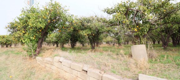 6016m² Land in Mineo, Italy No. 230286 5