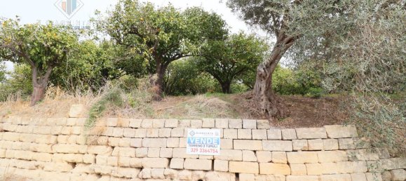 6016m² Land in Mineo, Italy No. 230286 4