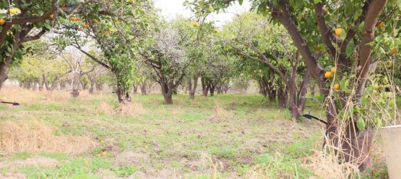 6016m² Land in Mineo, Italy No. 230286 6