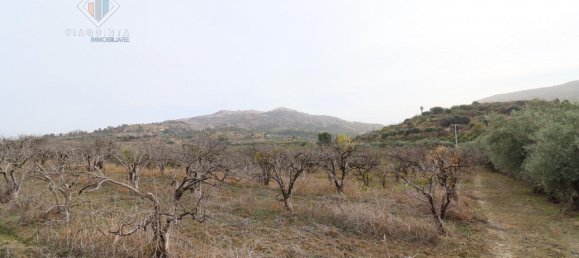 6016m² Land in Mineo, Italy No. 230286 2