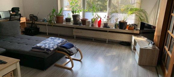 9-salle Maison à Helmstedt, Germany No. 68137 8