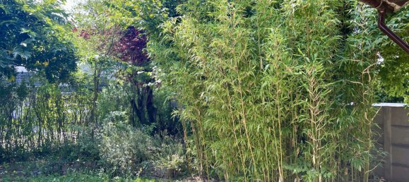 4 Schlafzimmer Haus in Wiesbaden, Germany, Nr. 324466 3