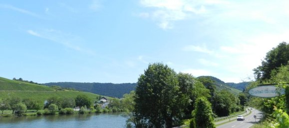 Hotel in Bernkastel-Wittlich, Germany 1700m², Nr. 355360 5