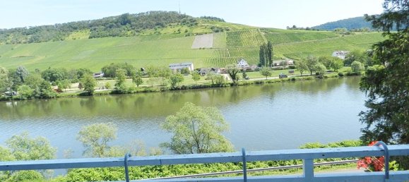 Hotel in Bernkastel-Wittlich, Germany 1700m², Nr. 355360 3