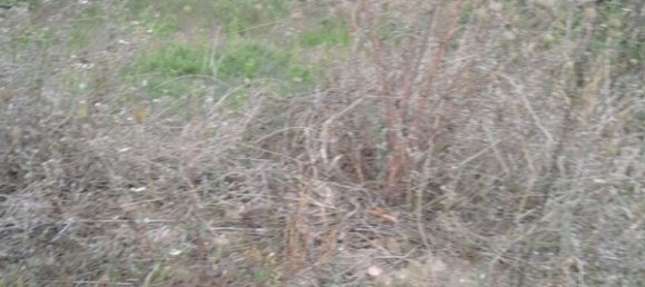 5 rooms House in Castel San Lorenzo, Italy No. 253933 9