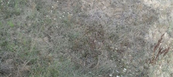 5 rooms House in Castel San Lorenzo, Italy No. 253933 20