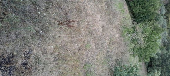 5 rooms House in Castel San Lorenzo, Italy No. 253933 17