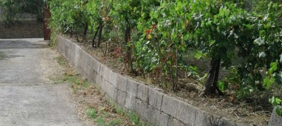 5 rooms House in Castel San Lorenzo, Italy No. 253933 14