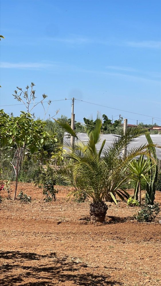 Grundstück in Ludwigsburg, Germany, Nr. 344233