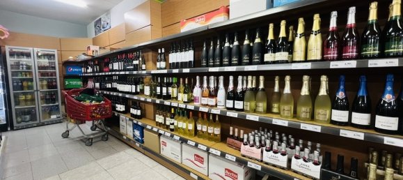 Commercial property in Santa Ponsa, Spain No. 16221 3