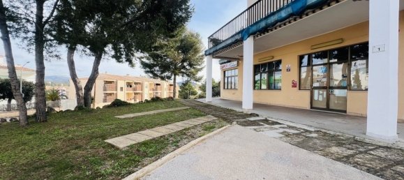 Commercial property in Santa Ponsa, Spain No. 16221 5