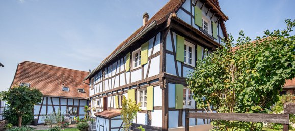 8 rooms House in Kolbsheim, France No. 86313 9