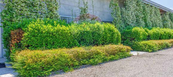 Gewerbliche Immobilie in Carpi, Italy 2000m², Nr. 388478 40