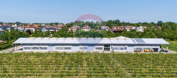 Gewerbliche Immobilie in Carpi, Italy 2000m², Nr. 388478 8