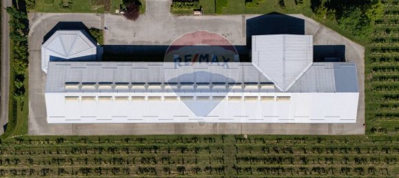Gewerbliche Immobilie in Carpi, Italy 2000m², Nr. 388478 7