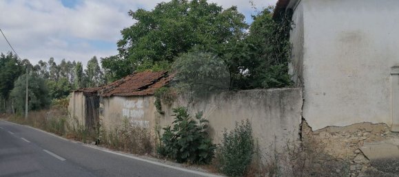 3 Schlafzimmer Haus in Cadima, Portugal, Nr. 17134 6
