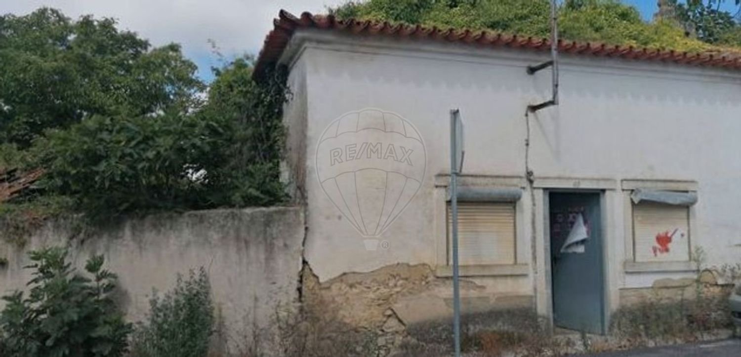 3 Schlafzimmer Haus in Cadima, Portugal, Nr. 17134