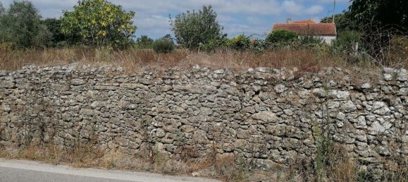 3 Schlafzimmer Haus in Cadima, Portugal, Nr. 17134 5