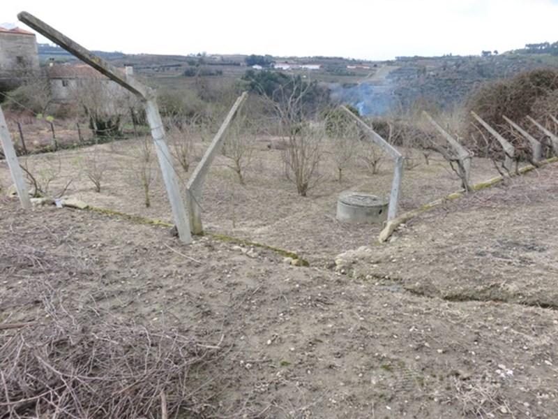 640m² Land in Tarouca, Portugal No. 310678