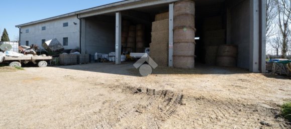 96750m² Land in Carpi, Italy No. 156851 8