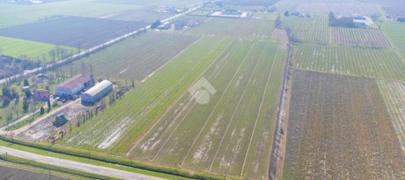 96750m² Land in Carpi, Italy No. 156851 2