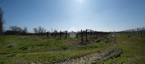 96750m² Land in Carpi, Italy No. 156851 10