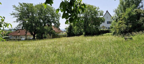 قطعة أرض في Leonding, Austria رقم 213772 4