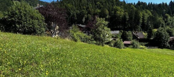  Land in Liezen, Austria No. 128135 2