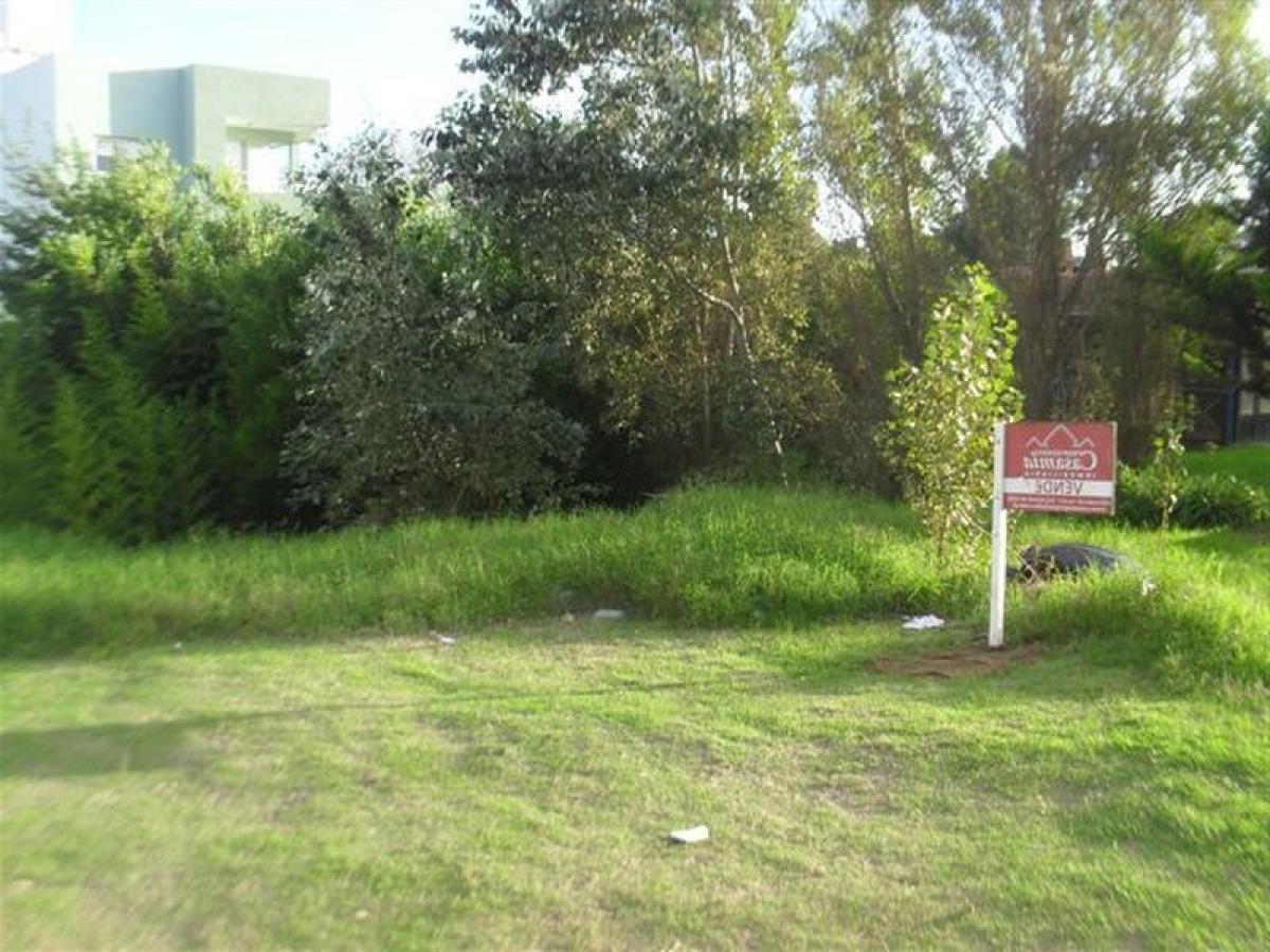  Land in Mar del Plata, Argentina No. 111346