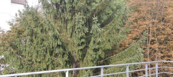 2 rooms Apartment in Dobling, Austria No. 139922 4