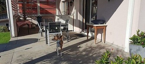 3 chambres Villa à Baldersheim, France No. 47475 13