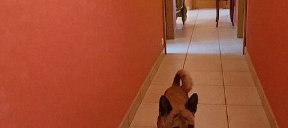 3 chambres Villa à Baldersheim, France No. 47475 12