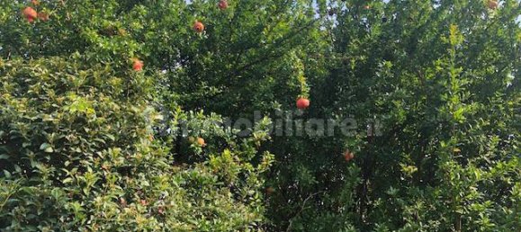 Casa T5 em Loria, Italy N.º 108443 6