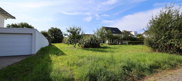  Land in Ahrweiler, Germany No. 274649 4