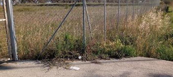 25000m² Land in Troia, Italy No. 288883 5