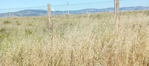 25000m² Land in Troia, Italy No. 288883 6