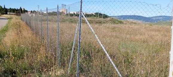 25000m² Land in Troia, Italy No. 288883 3