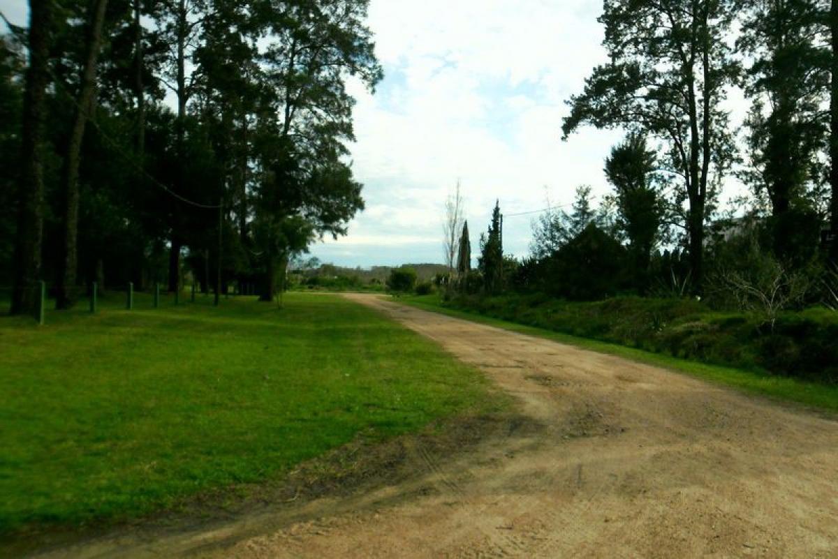  Land in Maldonado, Uruguay No. 14746