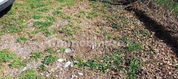 4 bedrooms House in Lonate Ceppino, Italy No. 5475 24