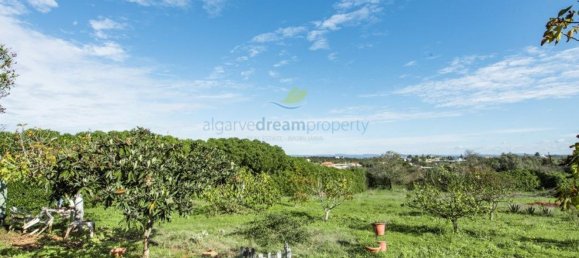 4 Schlafzimmer Haus in Porches, Portugal, Nr. 97764 9