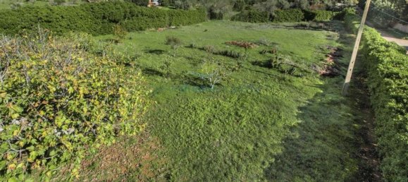 4 Schlafzimmer Haus in Porches, Portugal, Nr. 97764 38