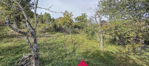 Terrain à Oberhaslach, France No. 86176 3