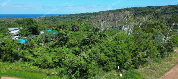 Земельный участок 1096м² в Порт-Вила, Вануату № 3 3