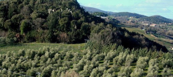 Apartamento T6 em Roccastrada, Italy N.º 56063 48