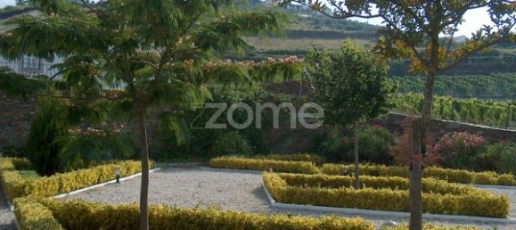 10 bedrooms House in Ervedosa do Douro, Portugal No. 84556 9